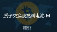 質子交換膜燃料電池 MEA膜電極