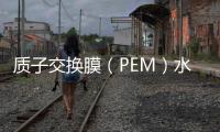 質(zhì)子交換膜（PEM）水電解制氫