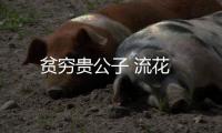 貧窮貴公子 流花