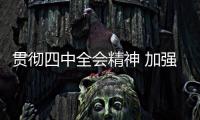 貫徹四中全會精神 加強科技治理體系建設—新聞—科學網