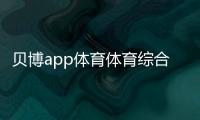 貝博app體育體育綜合分計算器2024年1月11日