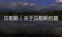 貝勒斯（關于貝勒斯的基本情況說明介紹）