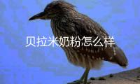 貝拉米奶粉怎么樣