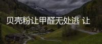 貝殼粉讓甲醛無處逃 讓藝術充盈整個房間