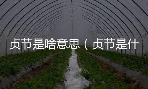 貞節是啥意思（貞節是什么意思）