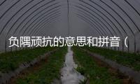 負隅頑抗的意思和拼音（負隅頑抗的意思）