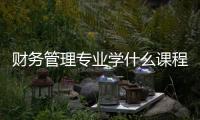 財務管理專業學什么課程，財務管理專業學什么