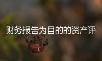 財(cái)務(wù)報(bào)告為目的的資產(chǎn)評(píng)估，公允價(jià)值評(píng)估