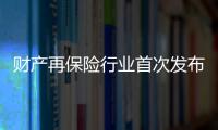 財(cái)產(chǎn)再保險(xiǎn)行業(yè)首次發(fā)布分保團(tuán)體標(biāo)準(zhǔn)