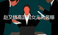 趙又廷高圓圓女兒乳名曝光？趙樹海報喜疑藏玄機