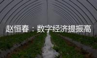 趙恒春：數字經濟提振高質量就業