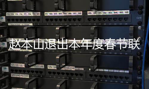 趙本山退出本年度春節聯歡晚會