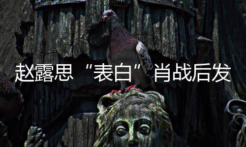 趙露思“表白”肖戰(zhàn)后發(fā)文引爭(zhēng)議 好友力挺贊其單純