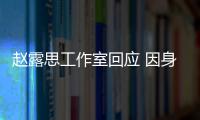 趙露思工作室回應 因身體不適暫停工作