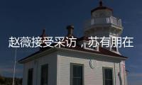 趙薇接受采訪，蘇有朋在后面搶鏡，兩人感情還是這么好
