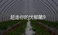 趕走你的憂郁第9