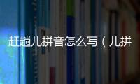 趕趟兒拼音怎么寫（兒拼音怎么寫）