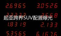 起亞跨界SUV配置曝光 這項功能竟標配