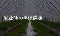 起亞Niro再曝諜照 三種動力/2021年內上市