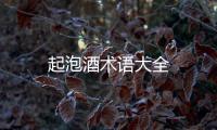 起泡酒術語大全