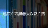 起底廣西黑老大以及廣西黑老大排行榜的情況分析