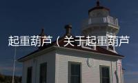 起重葫蘆（關于起重葫蘆的基本情況說明介紹）