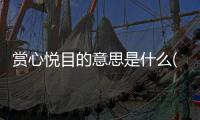 賞心悅目的意思是什么(最佳答案)（賞心悅目的意思是什么）