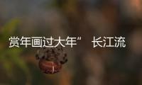 賞年畫過大年” 長江流域年畫展在藏啟幕