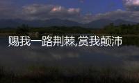 賜我一路荊棘,賞我顛沛流離是什么意思（顛沛流離是什么意思）