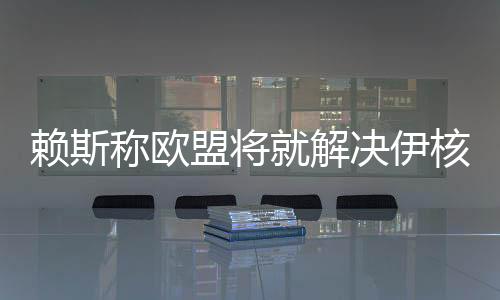 賴斯稱歐盟將就解決伊核問題提出一攬子方案