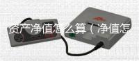 資產凈值怎么算（凈值怎么算）
