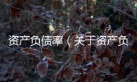 資產負債率（關于資產負債率的基本情況說明介紹）