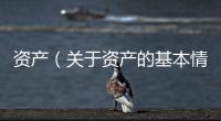 資產（關于資產的基本情況說明介紹）