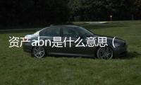 資產(chǎn)abn是什么意思（abn是什么意思）