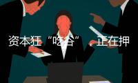 資本狂“吃谷”，正在押注下一個“泡泡瑪特”