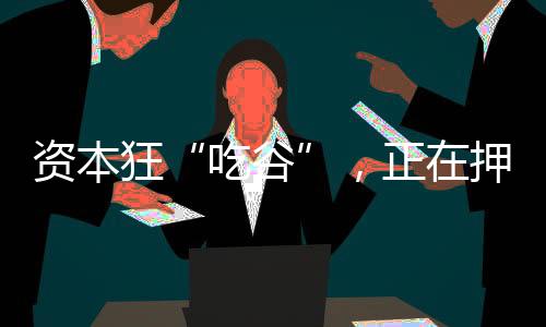 資本狂“吃谷”，正在押注下一個“泡泡瑪特”