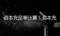 資本充足率計算（資本充足率）