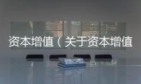 資本增值（關(guān)于資本增值的基本情況說明介紹）