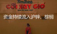 資金持續(xù)流入滬鋅、棕櫚油，期貨價格持續(xù)反彈