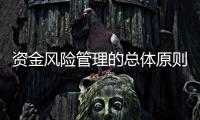 資金風險管理的總體原則（資金風險管理）