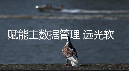 賦能主數據管理 遠光軟件助力首創經中數字化升級