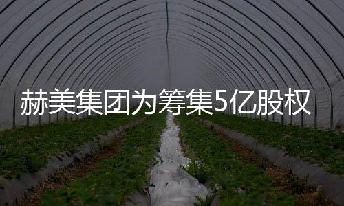 赫美集團為籌集5億股權轉讓款 2.1億甩賣阿瑪尼
