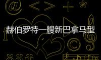 赫伯羅特一艘新巴拿馬型集裝箱船命名