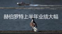 赫伯羅特上半年業績大幅減虧