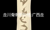 走川骨刺酊價格:廣西走川骨刺酊