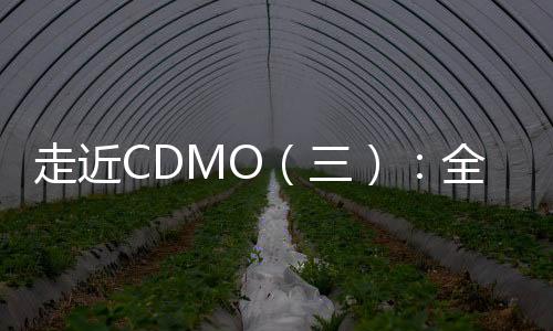 走近CDMO（三）：全球競技，我國小分子CDMO更具比較優(yōu)勢