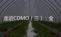 走近CDMO（三）：全球競技，我國小分子CDMO更具比較優勢
