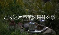 走過這片蘆葦坡是什么歌 一個真實的故事（走過這片蘆葦坡是什么歌）