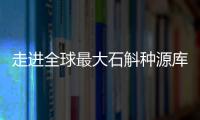 走進(jìn)全球最大石斛種源庫：探索野生石斛種質(zhì)資源異地保護(hù)