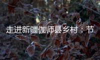 走進新疆伽師縣鄉村：節水灌溉夯實冬小麥豐收基礎